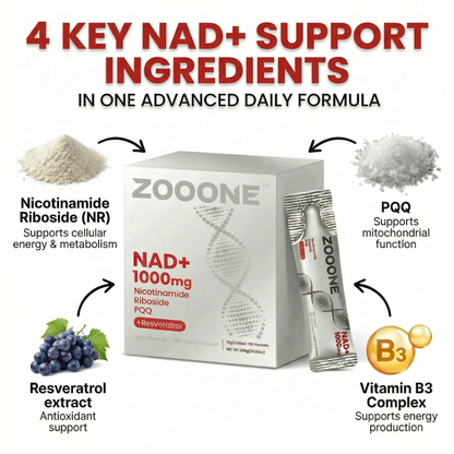Zooone NAD+ 1000mg ENERGY, FOCUS & LONGEVITY